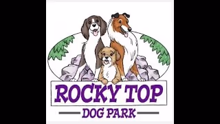 Rocky Top Dog Park photo 1